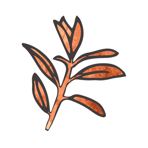 transparent brown twig illustration with leaves on white background - Download Free Stock Videos Pikwizard.com