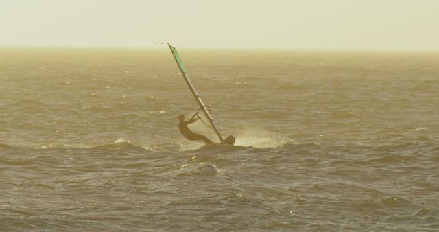 Windsurfer riding waves at sunset, golden sky and water - Download Free Stock Images Pikwizard.com