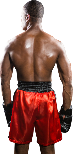 Rear View of Boxer Standing in Red Shorts, Transparent Background - Download Free Stock Videos Pikwizard.com