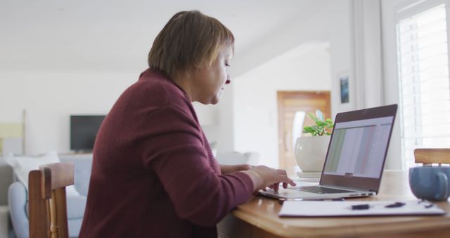 Focused Senior Woman Working on Laptop at Home - Download Free Stock Images Pikwizard.com