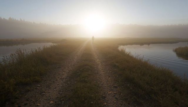 Solitary figure walking toward radiant sunrise on misty wetland track, backlit rural dawn