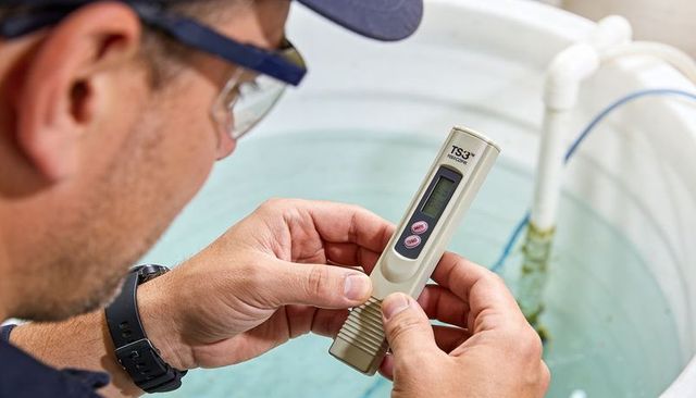 Inspecting ts-3 digital water tester near tank for pool, aquaculture and water quality monitoring