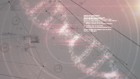 Innovative Global Networking with Digital Interfaces