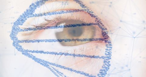 Human Eye and Virtual DNA Strand Overlap in Digital Interface