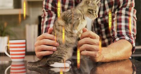 Man holding tabby kitten on glossy kitchen countertop steadying with caring hands