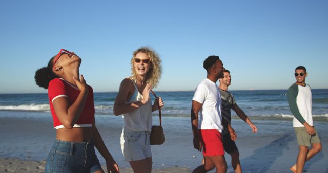 Group of Friends Enjoying Walk on Beach at Sunset - Download Free Stock Images Pikwizard.com