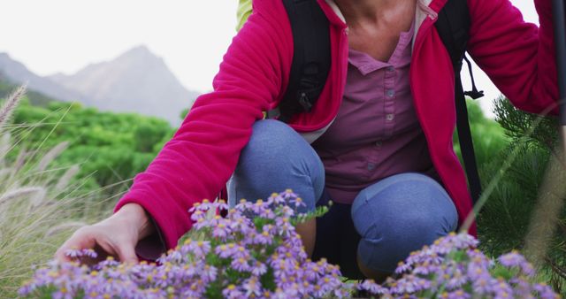 Female hiker crouching down to observe wildflowers in mountainous area. Suitable for promoting outdoor activities, nature exploration, hiking tours, eco-tourism campaigns, and adventure travel blogs.