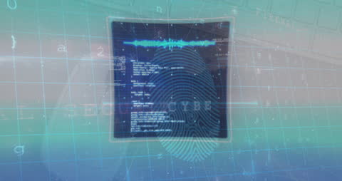 Animated Data Processing with Digital Fingerprint and Code