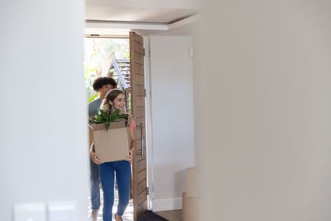Young couple carrying moving boxes with houseplant into bright modern entryway