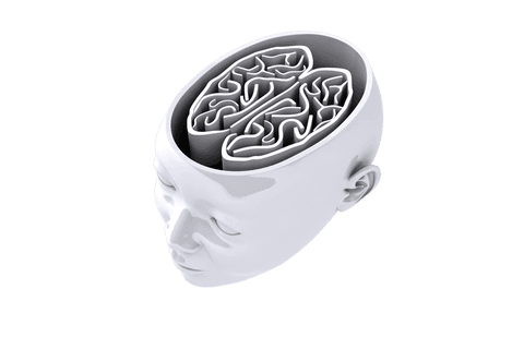 transparent head with maze brain representing complex thoughts - Download Free Stock Videos Pikwizard.com