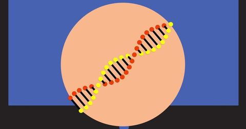 Colorful DNA Strand Against Blue Background