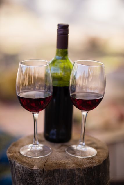 Wine Bottle and Glasses on Wooden Log During Safari Vacation - Download Free Stock Photos Pikwizard.com