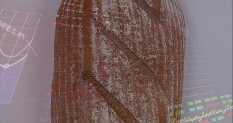 Vertical tree trunk merging with translucent financial charts and stock tickers concept
