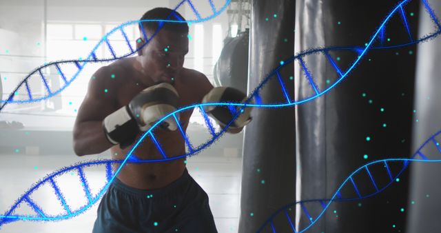 Boxer Punching Bag with DNA Strands Overlay - Download Free Stock Images Pikwizard.com