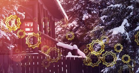 Festive Christmas Stars in Winter Forest Scene