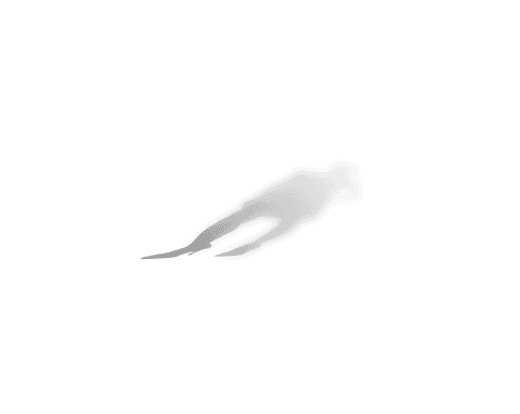 transparent shadow of businesswoman isolated on clear background - Download Free Stock Videos Pikwizard.com