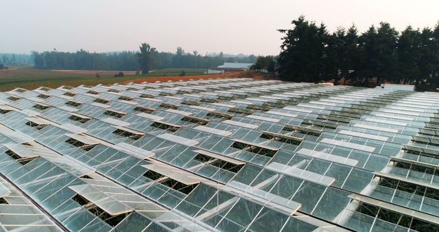 Aerial View of Expansive Greenhouse Complex in Rural Area - Download Free Stock Images Pikwizard.com