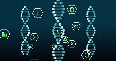 dna strands with eco-friendly icons on sustainable theme - Download Free Stock Images Pikwizard.com