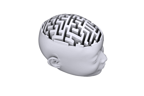 intricate maze in human head on transparent background - Download Free Stock Videos Pikwizard.com