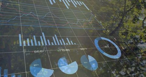 Digital Charts Projected on Trees Symbolizing Eco-Friendly Analytics