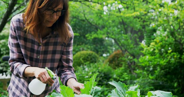 Woman Using Spray Bottle on Garden Plants - Download Free Stock Images Pikwizard.com