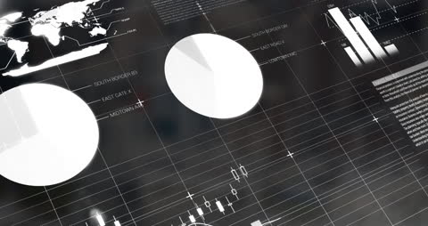 Animated Statistical Data Visualization with Global Network Themes