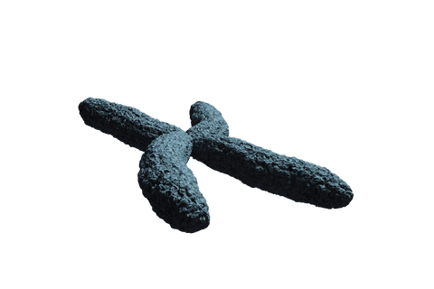 3d x chromosome illustration with transparent background - Download Free Stock Videos Pikwizard.com