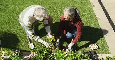 Happy Senior Couple Gardening Together in Spring