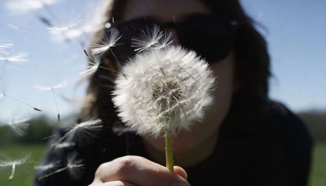Young person blowing dandelion seeds while wearing sunglasses in sunlit meadow