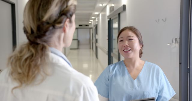 Young female nurses talking in hospital corridor, medical profession teamwork - Download Free Stock Images Pikwizard.com