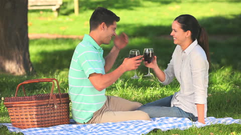Joyful Picnic with Red Wine Under Tree