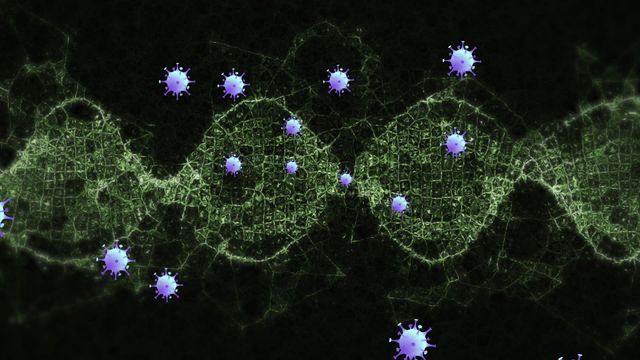 This digital representation illustrates COVID-19 cells interacting with a DNA strand, capturing a concept rooted in medical research and genetics study. Ideal for article animations, educational content on virus structure and behavior, or healthcare visuals exploring the impact of COVID-19. May be used to portray scientific endeavors in mitigating and understanding viral diseases and interlinking DNA research.