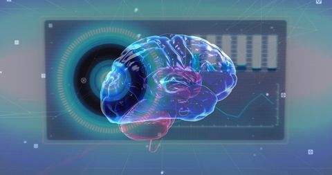 Digital Brain with Data Processing Interface and Global Connections - Download Free Stock Images Pikwizard.com