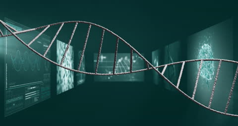 Spinning 3D DNA Strand on Transparent Background