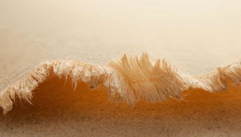Frayed paper edge macro detail showing fibrous ridge warm beige texture background