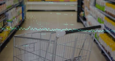 Integrating Financial Analytics with Grocery Shopping Interface
