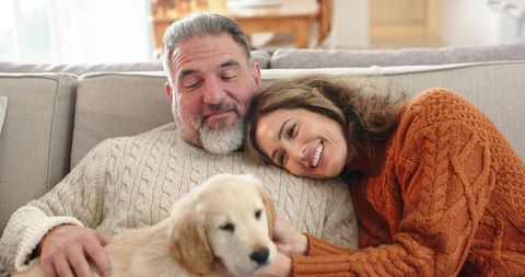 Couple cuddling on sofa petting golden retriever puppy wearing cable-knit sweaters, cozy home