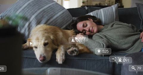 Cozy Relaxation with Golden Retriever on Striped Sofa in Living Room