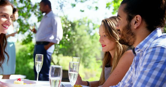 Friends enjoying outdoor lunch gathering with champagne - Download Free Stock Images Pikwizard.com