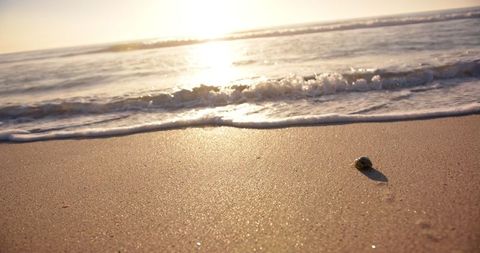 Tranquil Beach Scene at Sunset with Gentle Waves and Single Stone - Download Free Stock Images Pikwizard.com