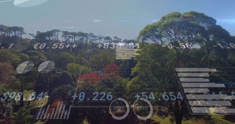 Augmented reality forest monitoring hud with data overlays and environmental metrics