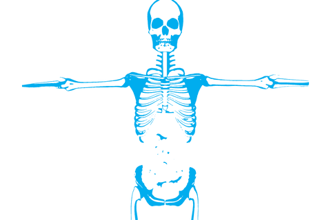 transparent skeleton with arms outstretched for medical instruction - Download Free Stock Videos Pikwizard.com