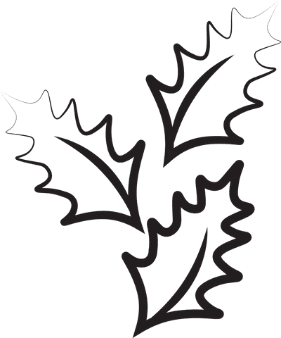 transparent leaf outline illustration with three black leaves - Download Free Stock Videos Pikwizard.com