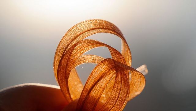 Curling translucent fiber ribbon glowing in warm backlight, macro spiral texture