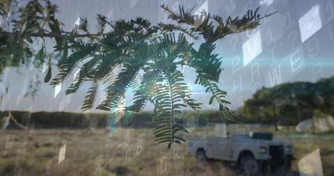 Exploring Rugged Plains With Off-Road Vehicle Under Sunlit Trees