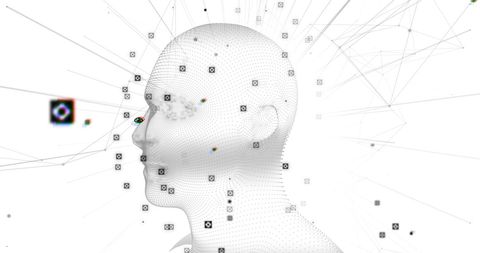 3D Human Head Model Illustrating Data Network Connectivity - Download Free Stock Images Pikwizard.com