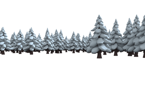 wintry forest of evergreen trees on transparent background - Download Free Stock Videos Pikwizard.com