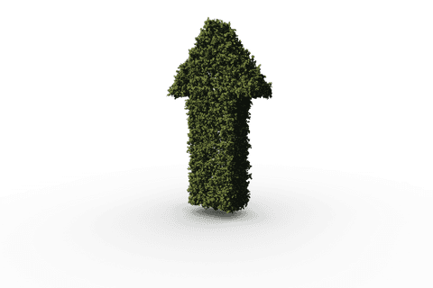 Transparent Green Leaf Arrow Symbol Isolated on Clear Background