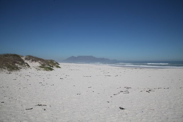 White Sand and Green Grass Near Beach - Download Free Stock Photos Pikwizard.com