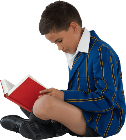 Young Schoolboy Engaged in Reading Transparent Background - Download Free Stock Videos Pikwizard.com